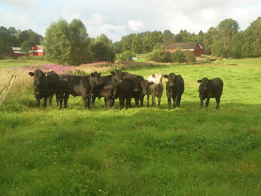 Oevraby Stuga Villa Godeby Luaran gambar